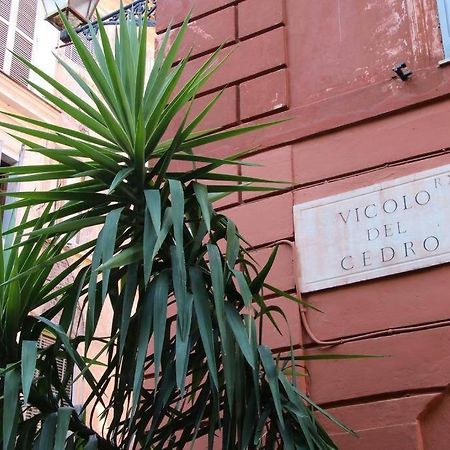 Cedro Home Roma Esterno foto